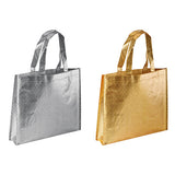 Amplia bolsa laminada