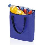 Bolsa plegable isotermica