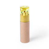 Lapices infantiles estuche